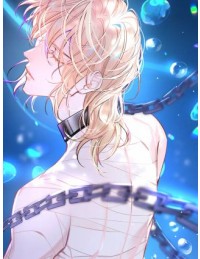 Nhân Ngư Rơi Xuống